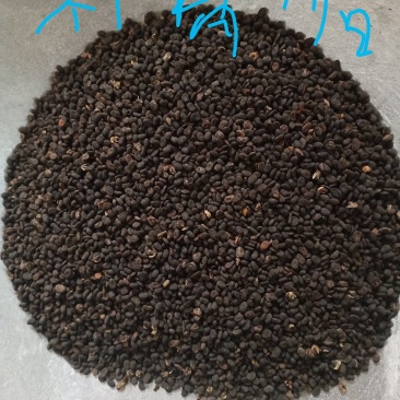 各种规格补骨脂，欢迎新老客户前来洽谈订购