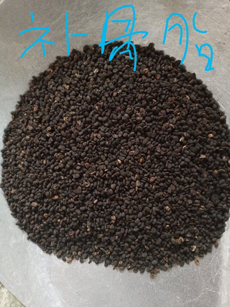 各种规格补骨脂，欢迎新老客户前来洽谈订购