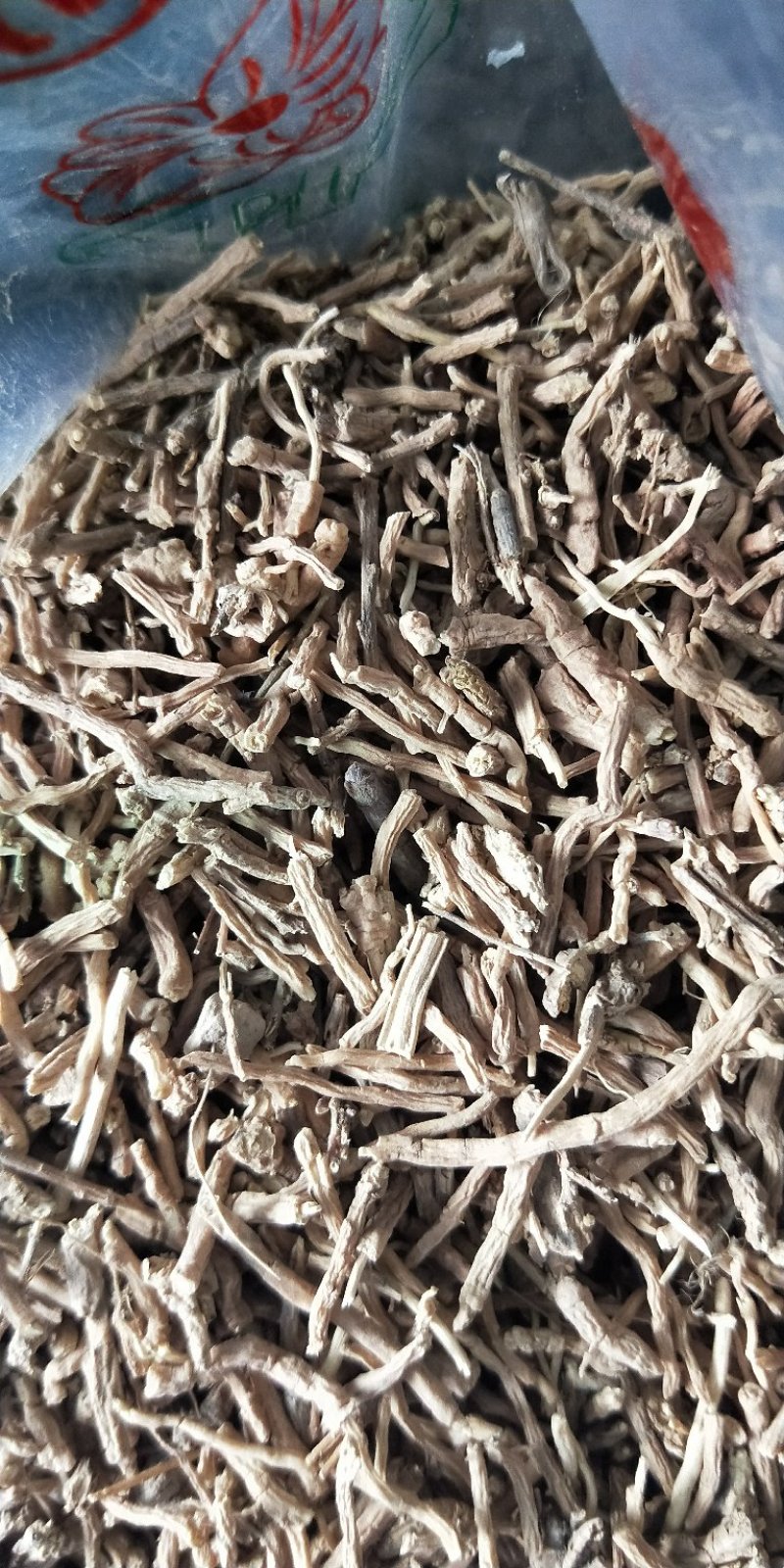 中药材抽芯率高远志远志肉新货无硫支持药检
