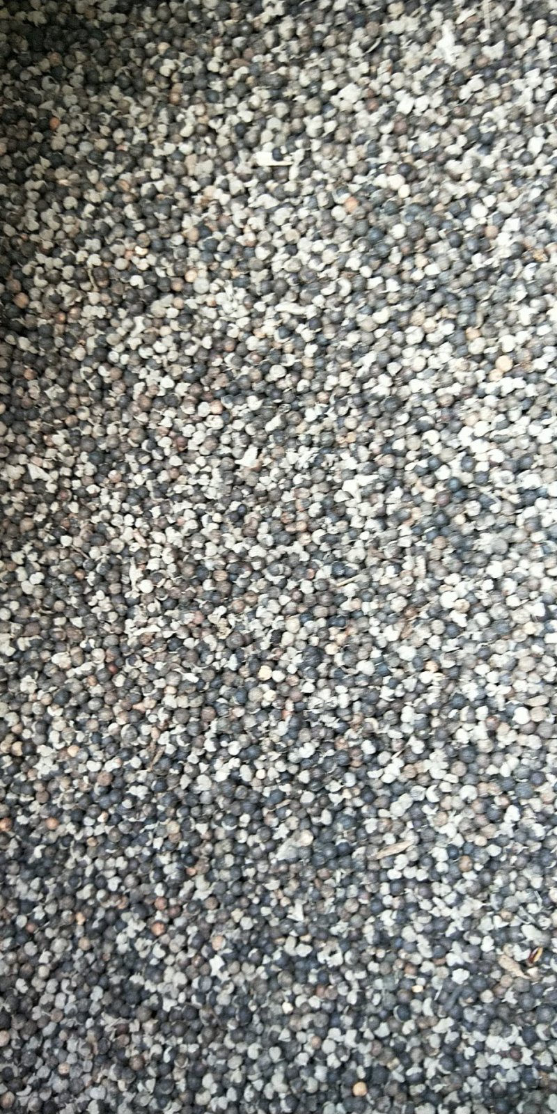 优质蔓荆子蔓荆实蔓青子地道中药材