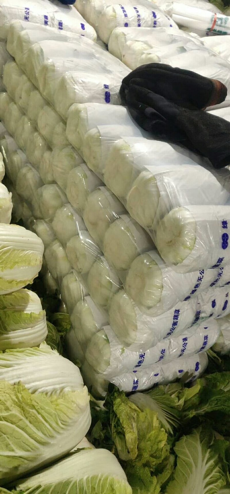 黄心白菜