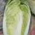 大白菜大量供应