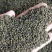 优质吴茱萸,大花中花小花正品江西颜色青