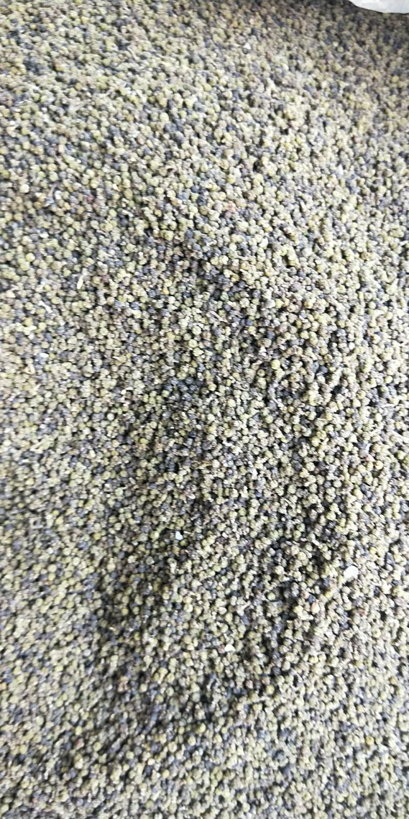 优质吴茱萸，大花中花小花正品江西颜色青