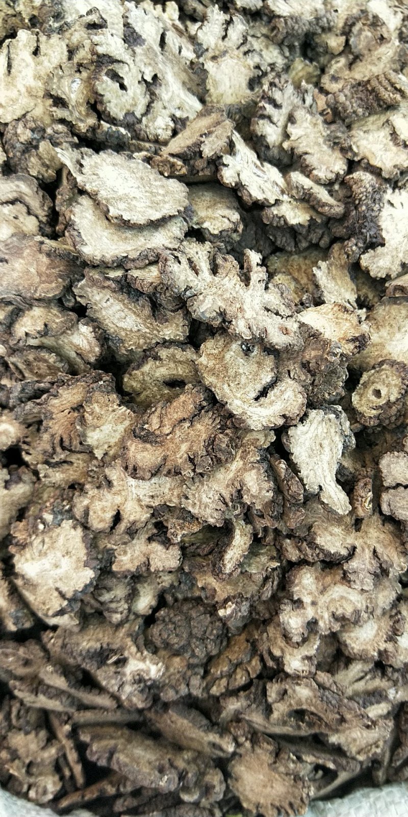 川芎四川无硫炕货厚片薄片供应上千种中药材