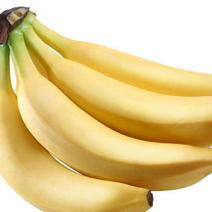 香蕉！菠萝！蕉公子