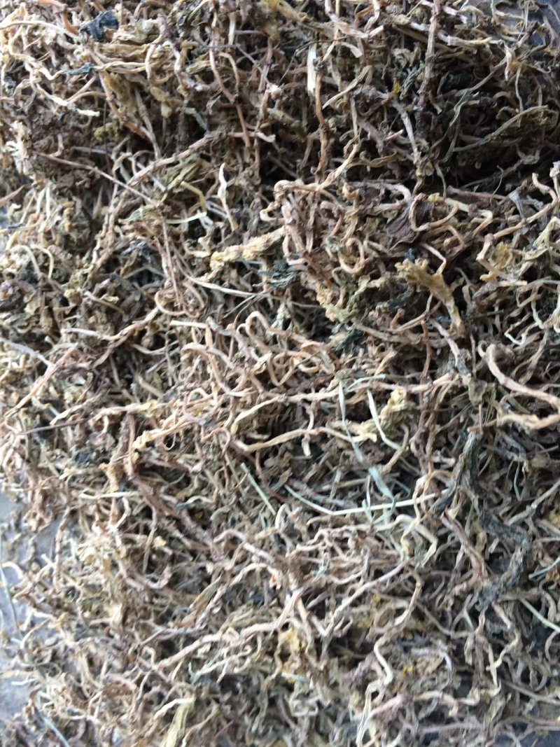 垂盆草