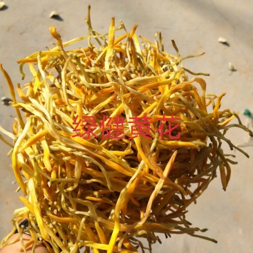 新货上市黄花菜干货无硫