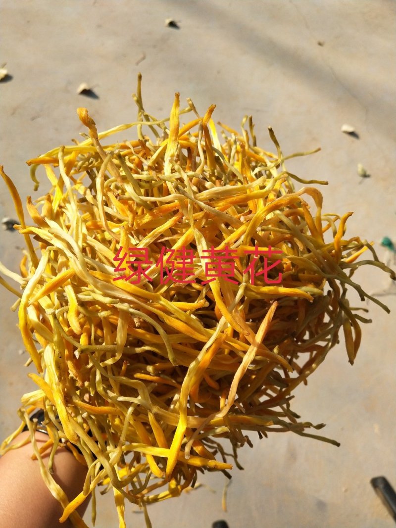 新货上市黄花菜干货无硫