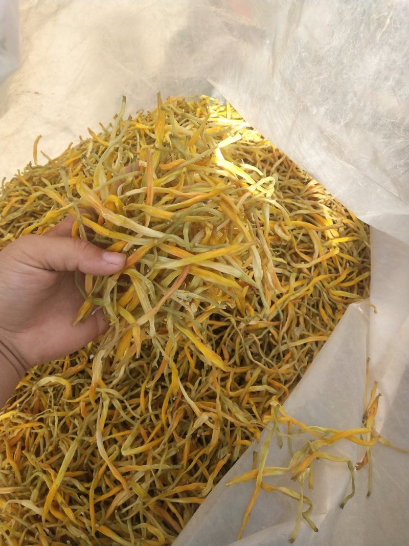 新货上市黄花菜干货无硫