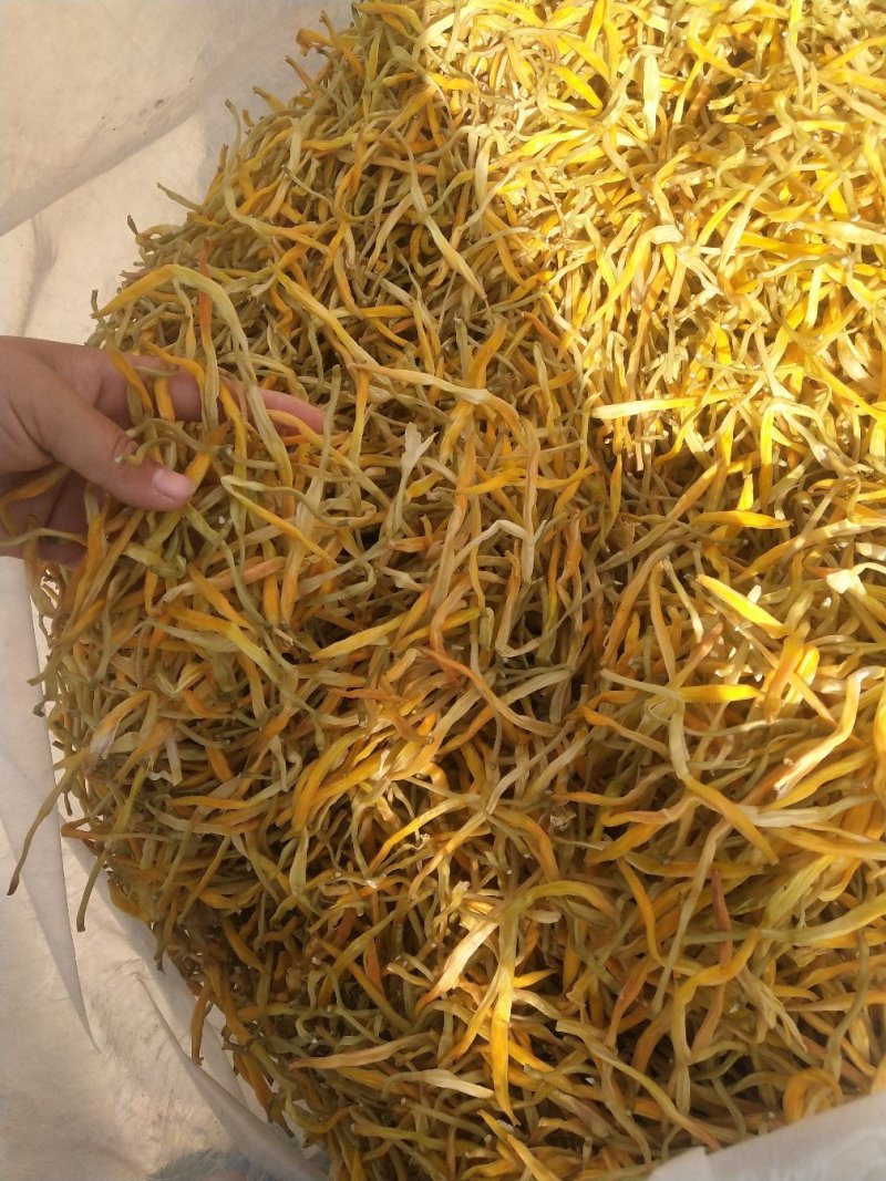 新货上市黄花菜干货无硫