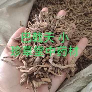 巴戟天带芯药用巴戟批发各种中药材批发零售各种规格中药材