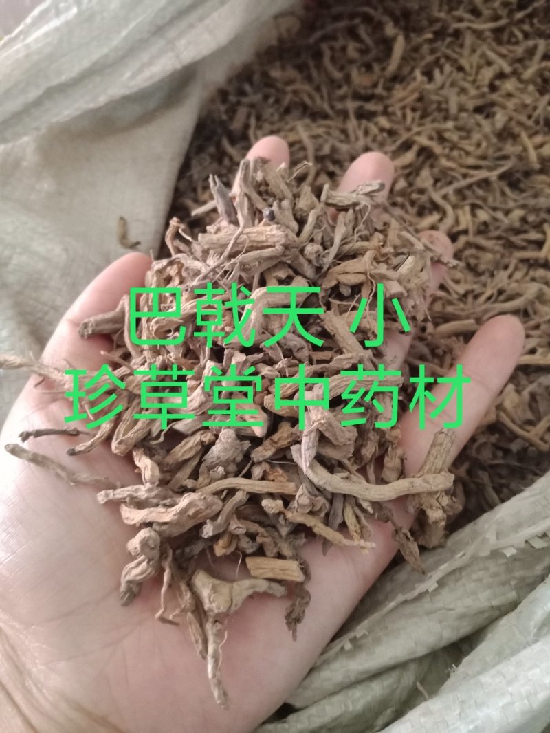 巴戟天带芯药用巴戟批发各种中药材批发零售各种规格中药材