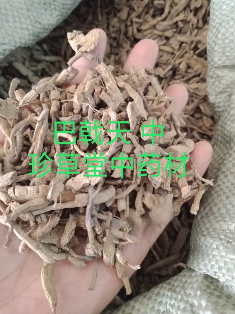 巴戟天带芯药用巴戟批发各种中药材批发零售各种规格中药材