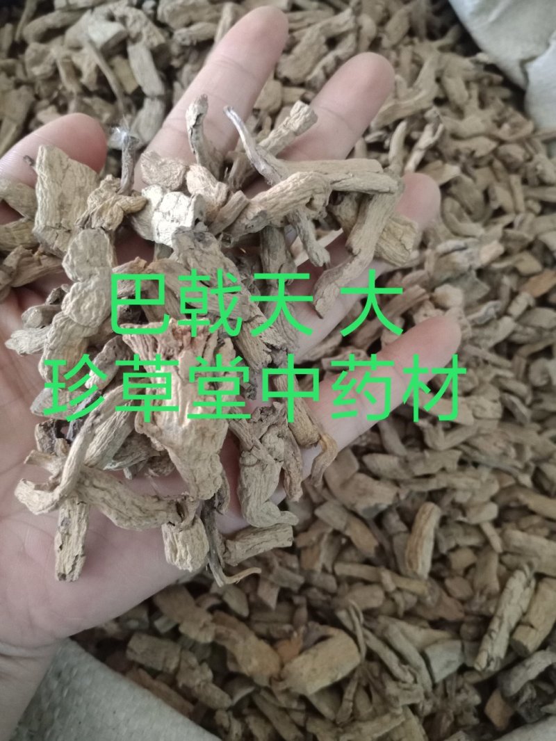 巴戟天带芯药用巴戟批发各种中药材批发零售各种规格中药材