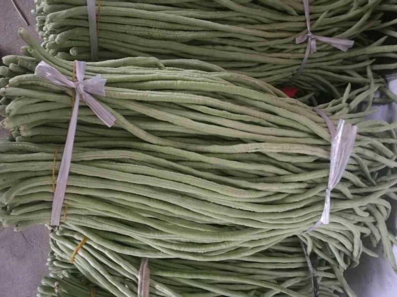 豆角大量上市、质量保证，量大从优，诚信代办