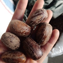 香果长香果各种中药材批发零售各种规格