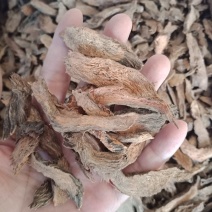 千年见千年健中药材批发各种中药材零售