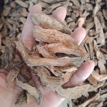 千年见千年健中药材批发各种中药材零售