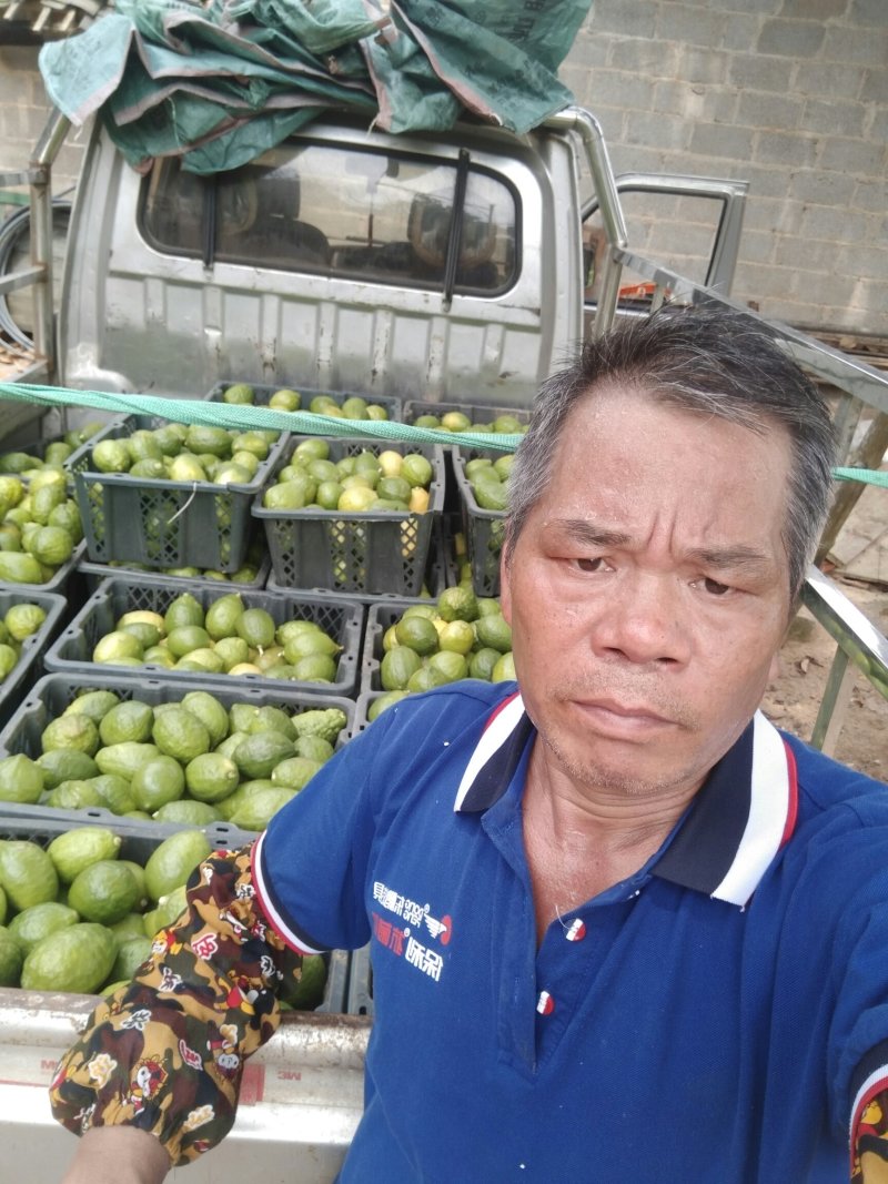 香水柠檬欢迎来电或者视频看货质优价廉