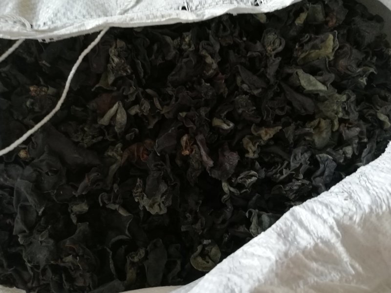 跑江湖青川黑木耳小木耳