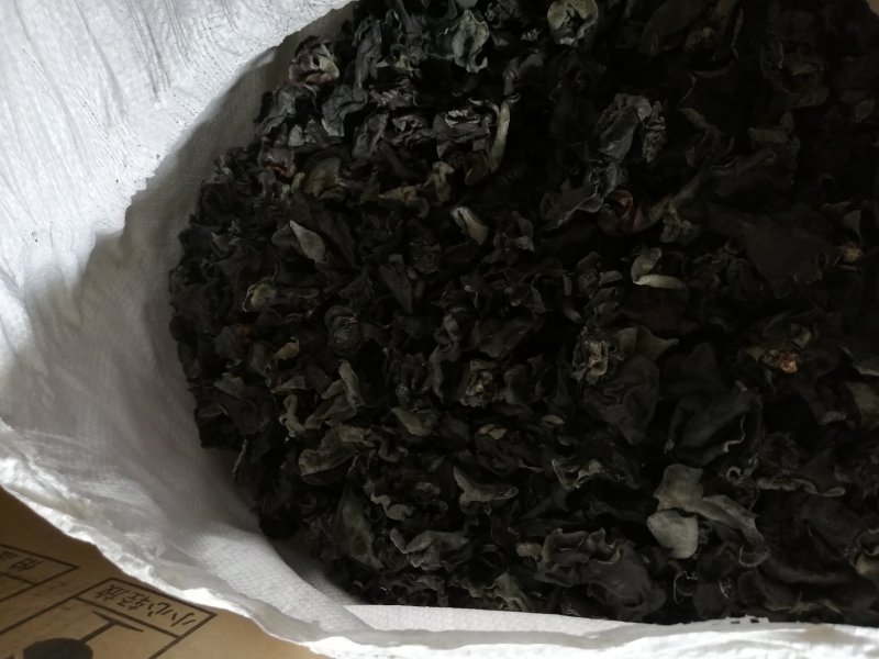 跑江湖青川黑木耳小木耳