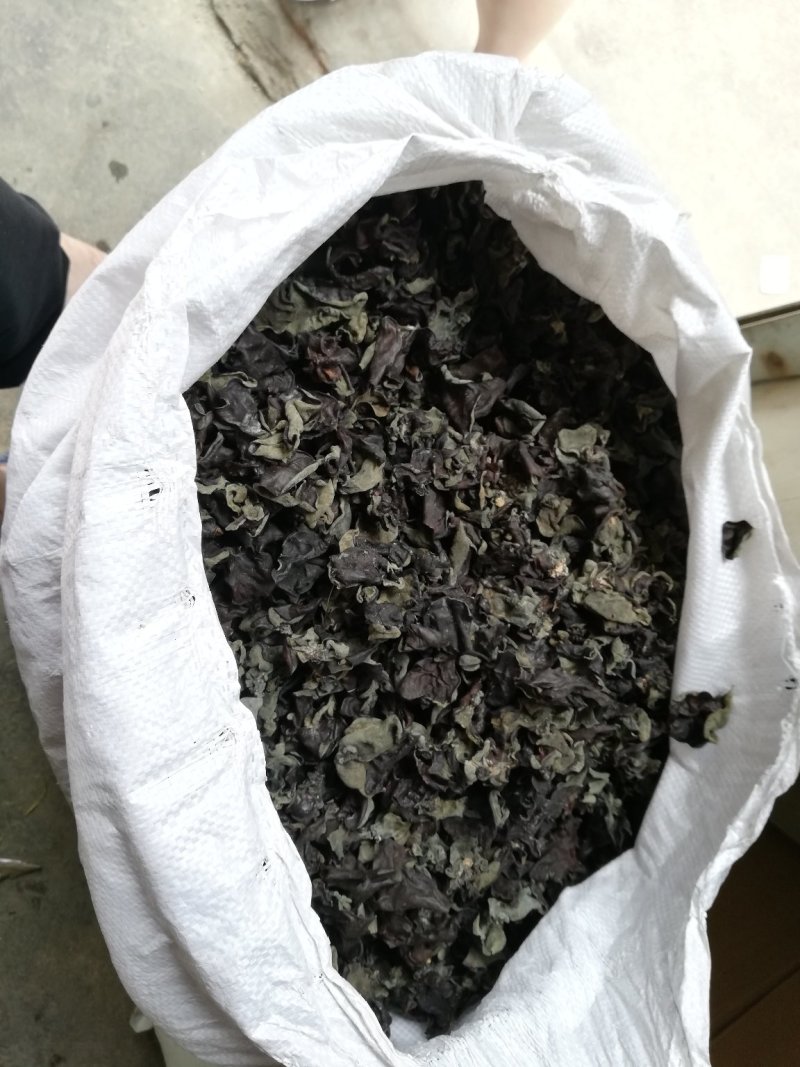跑江湖青川黑木耳小木耳