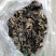 跑江湖青川黑木耳小木耳