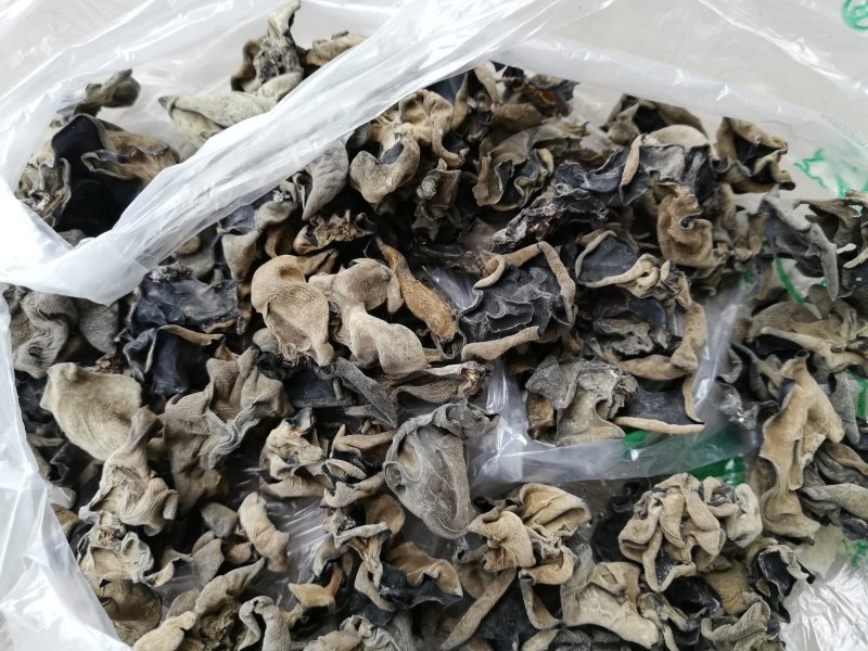跑江湖青川黑木耳小木耳