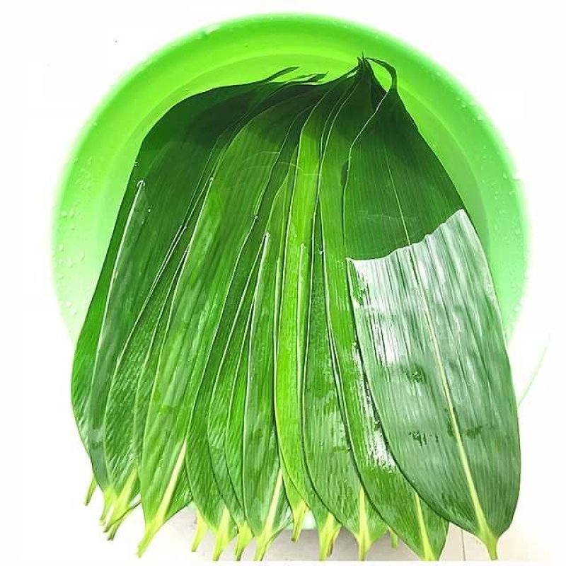 大量供应批发包粽叶新鲜叶子供应电商平台