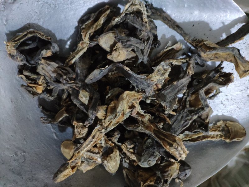 蟾蜍个货好量大另有蝉衣不满意保退换