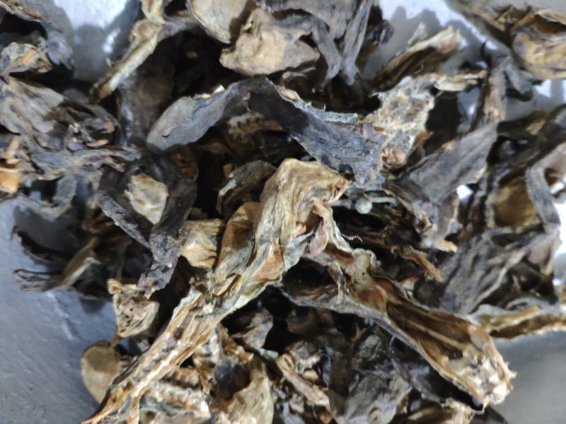 蟾蜍个货好量大另有蝉衣不满意保退换