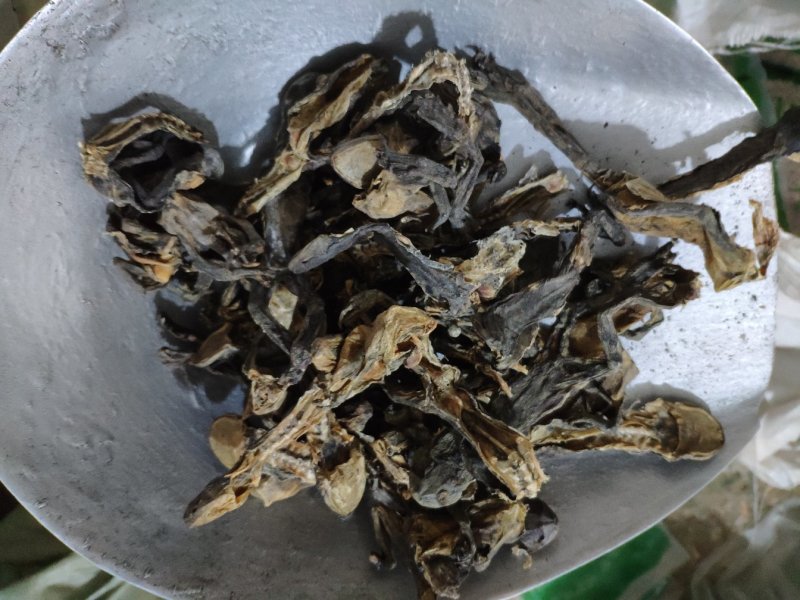 蟾蜍个货好量大另有蝉衣不满意保退换