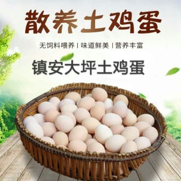禽畜牧蛋肉