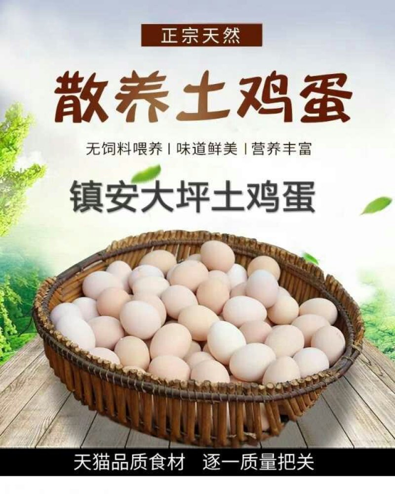 禽畜牧蛋肉