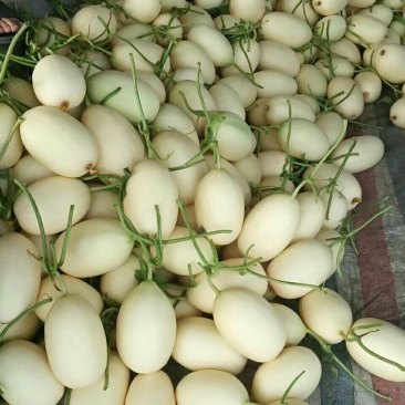 东方密