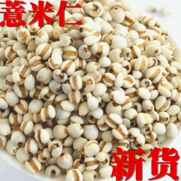 新货贵州薏米仁五谷粗粮薏米薏仁米小薏米薏米