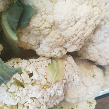 有机菜花一千多斤价格便宜