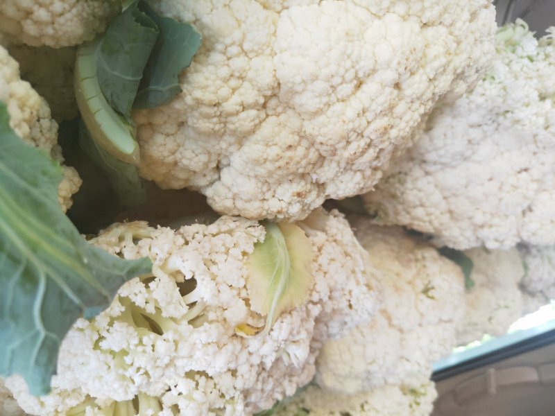 有机菜花一千多斤价格便宜