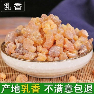 乳香乳香乳香珠千种中药材