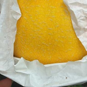 久红瑞香瓜3斤以上，一直上市中，颜色好，个头好！