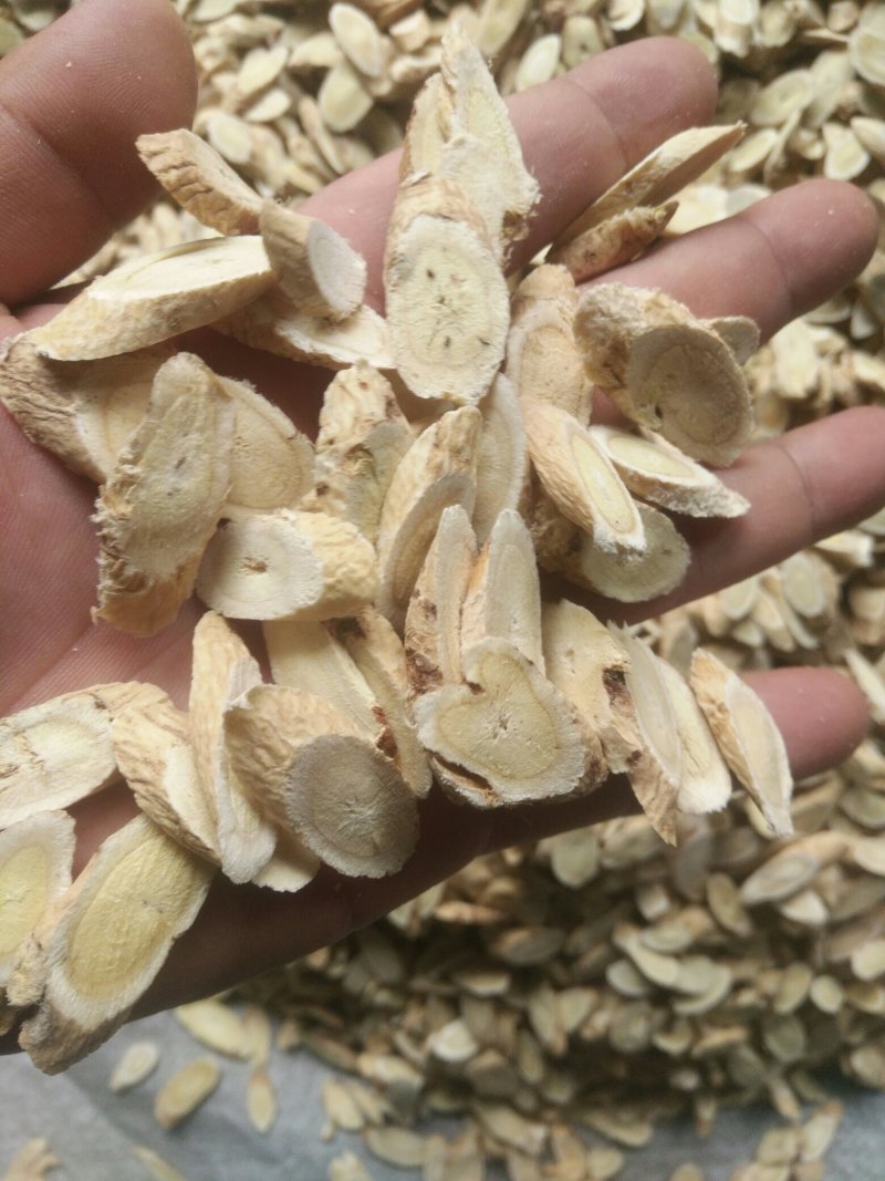 正规货源·全网低价·长期有货·黄芪·健康之选