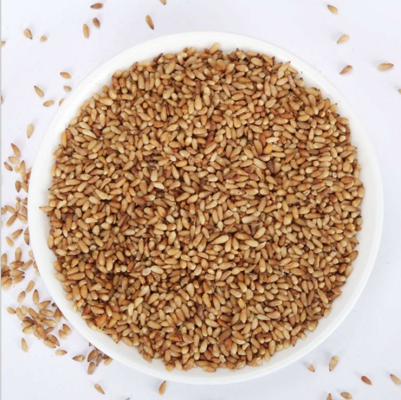 柏籽仁籽粒饱满柏子仁炒柏子仁千种药材