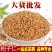 柏籽仁籽粒饱满柏子仁炒柏子仁千种药材