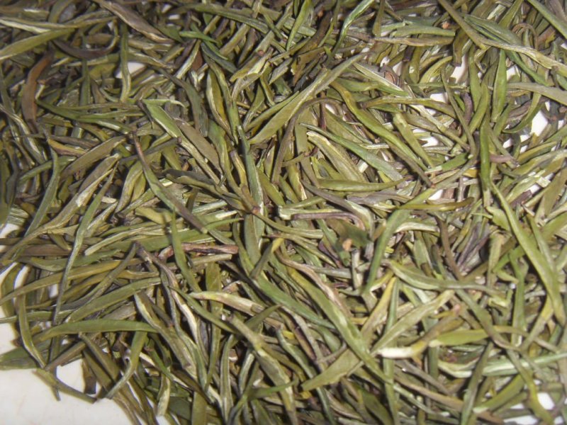 2019新茶雀舌茶500g