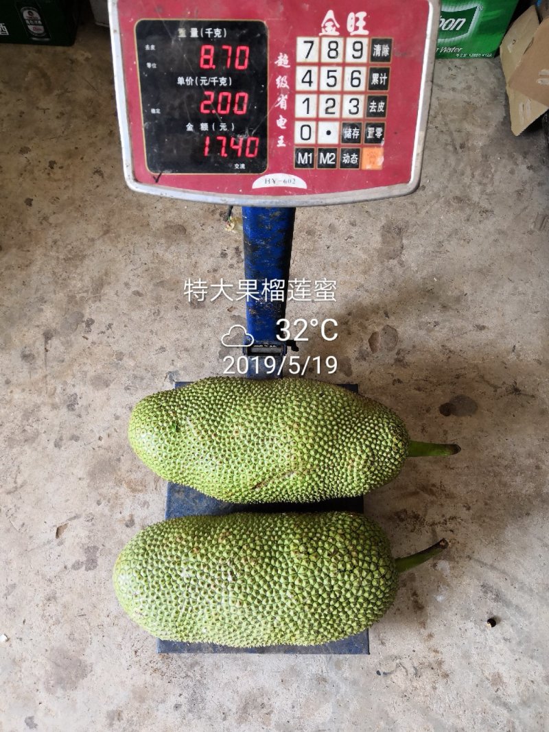 【一手货源】掉价了精品榴莲蜜黄肉，红肉产地直发