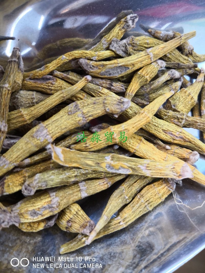 金钗石斛散装干货1斤起包邮量大从优