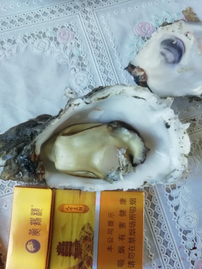 生蚝