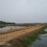 转让沙洋400亩农业基地