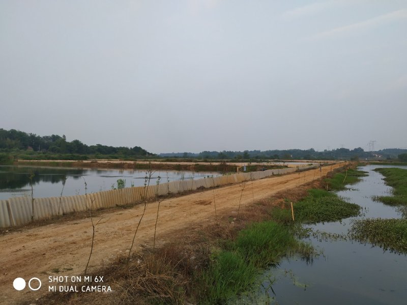 转让沙洋400亩农业基地